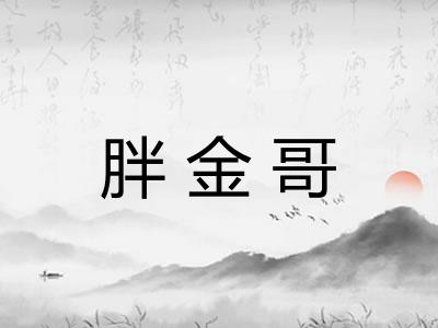 胖金哥 胖金哥