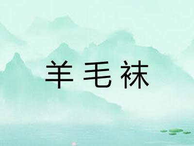 羊毛袜 羊毛袜