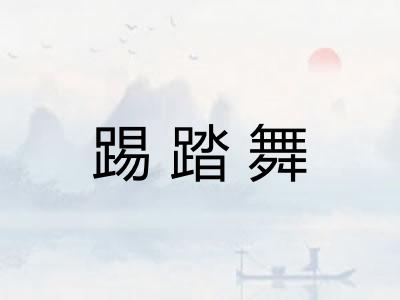 踢踏舞 踢踏舞