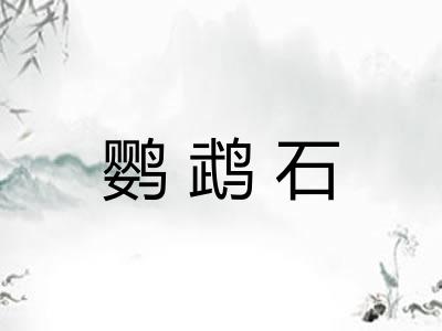 鹦鹉石
