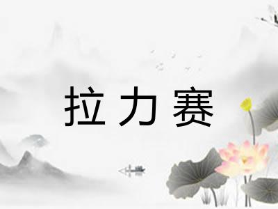 拉力赛 拉力赛