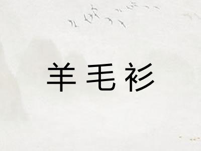 羊毛衫 羊毛衫