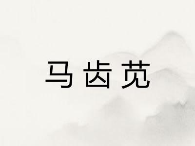马齿苋 马齿苋
