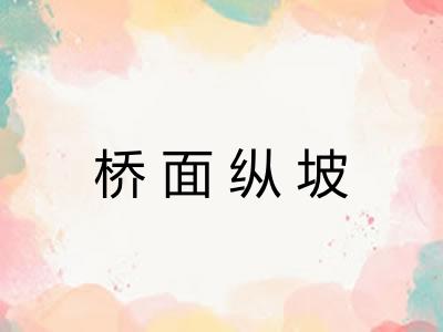 桥面纵坡 桥面纵坡
