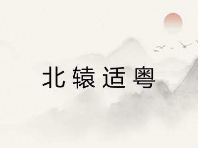 北辕适粤