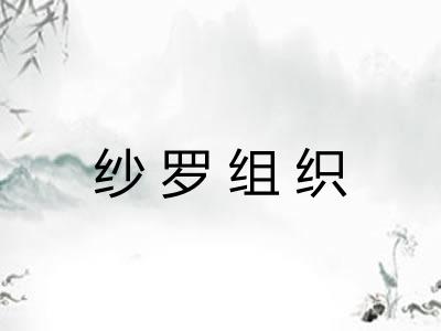 纱罗组织