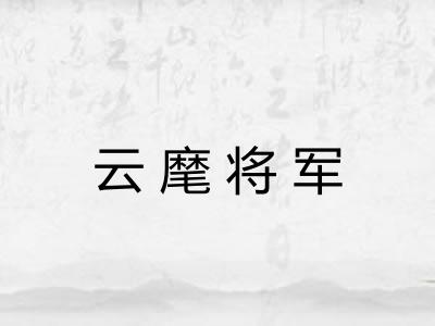 云麾将军 云麾将军
