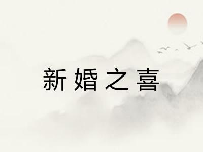 新婚之喜 新婚之喜
