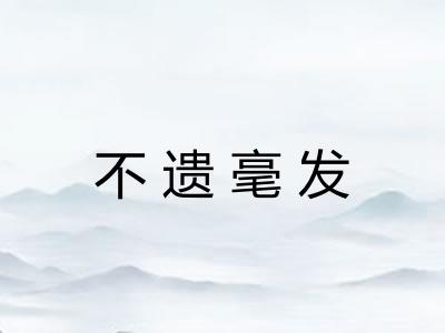 不遗毫发