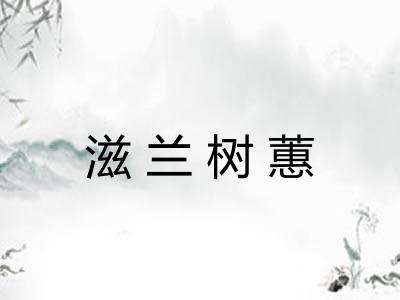 滋兰树蕙 滋兰树蕙