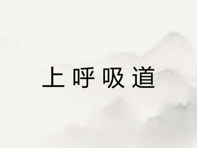 上呼吸道