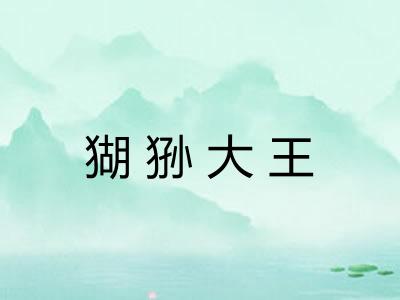 猢狲大王 猢狲大王