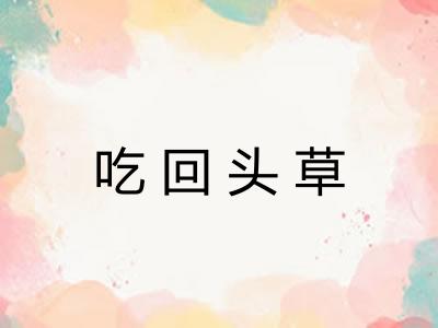 吃回头草 吃回头草