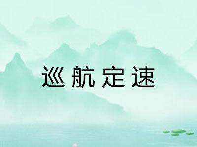 巡航定速 巡航定速