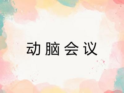 动脑会议