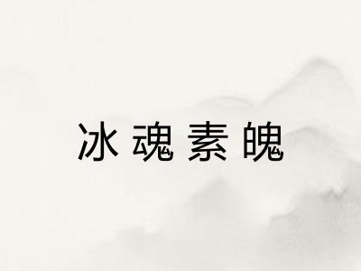 冰魂素魄