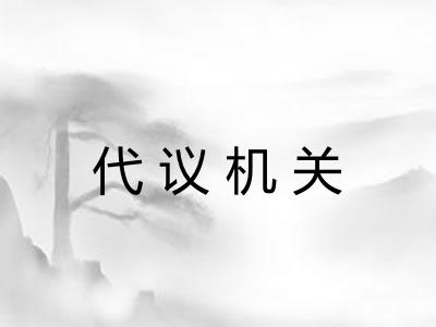 代议机关