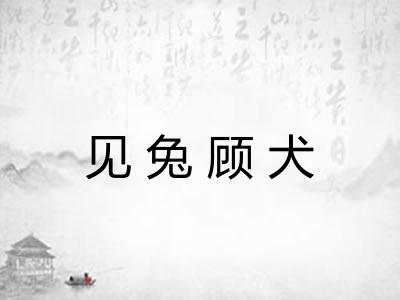 见兔顾犬