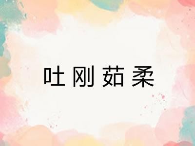 吐刚茹柔 吐刚茹柔