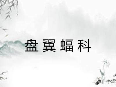 盘翼蝠科 盘翼蝠科