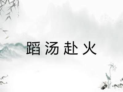 蹈汤赴火