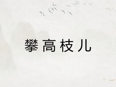攀高枝儿 攀高枝儿