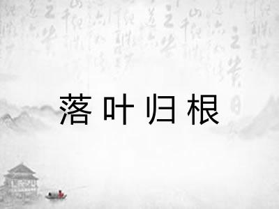 落叶归根 落叶归根