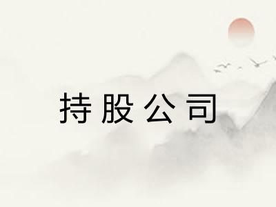 持股公司 持股公司