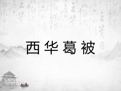 西华葛被