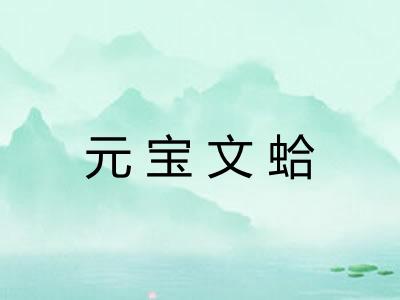 元宝文蛤 元宝文蛤