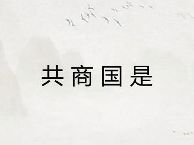共商国是 共商国是