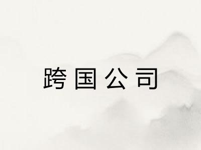 跨国公司 跨国公司