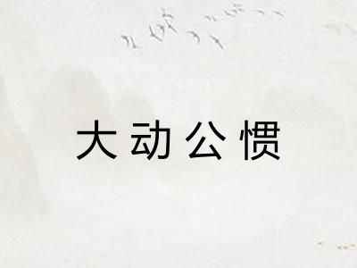 大动公惯 大动公惯