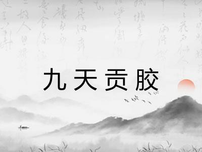 九天贡胶 九天贡胶