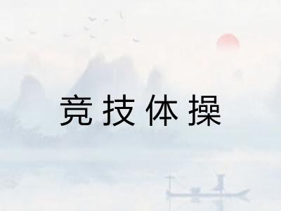 竞技体操 竞技体操