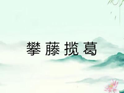 攀藤揽葛 攀藤揽葛