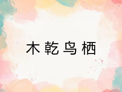 木乾鸟栖 木乾鸟栖