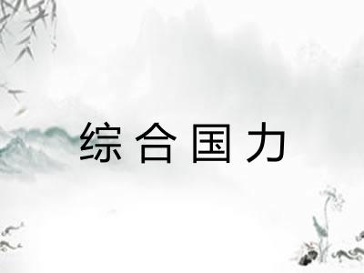 综合国力 综合国力