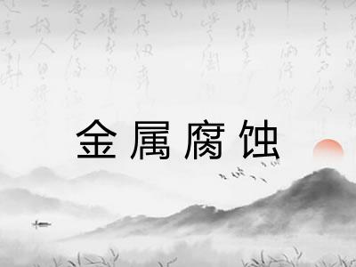 金属腐蚀 金属腐蚀