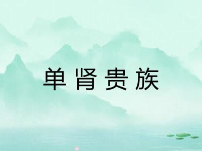 单肾贵族 单肾贵族