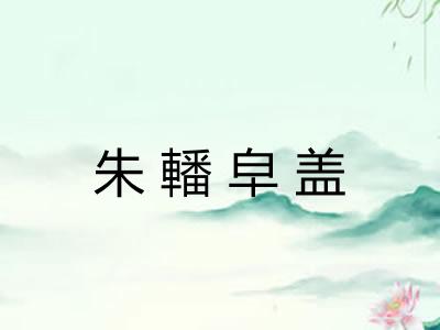 朱轓皁盖 朱轓皁盖