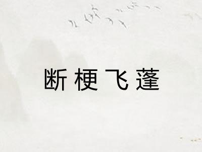 断梗飞蓬 断梗飞蓬