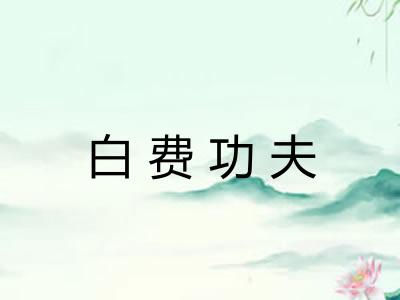 白费功夫 白费功夫