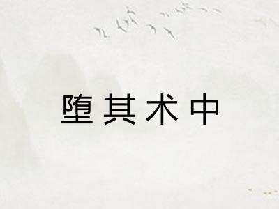 堕其术中 堕其术中