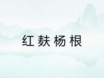 红麸杨根 红麸杨根