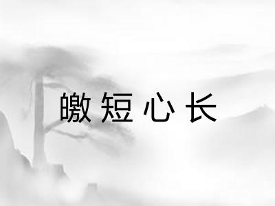 皦短心长 皦短心长