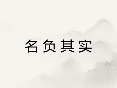 名负其实 名负其实
