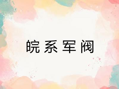 皖系军阀 皖系军阀