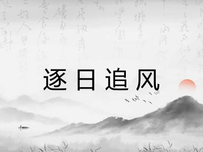 逐日追风