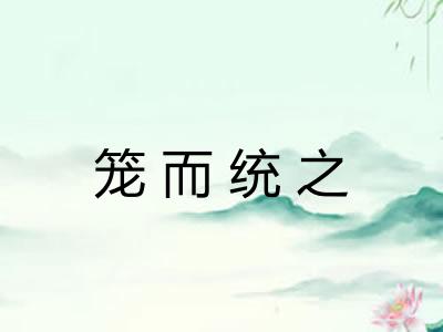 笼而统之